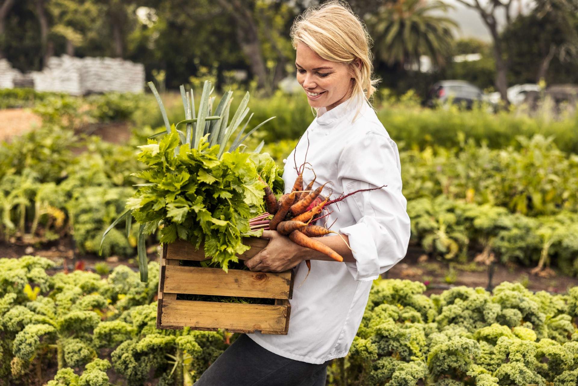 Image depicts a restaurant worker carrying a box of produce through a garden.