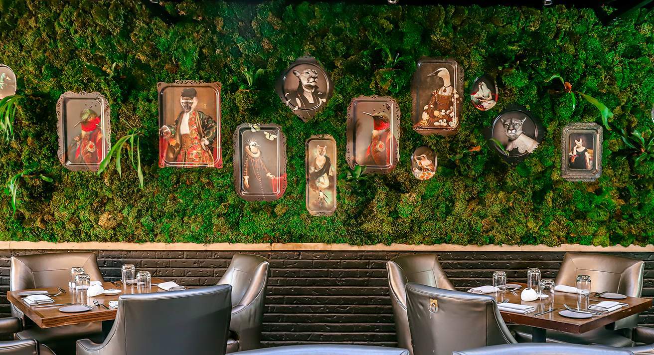 Image depicts a green wall covered with pictures.